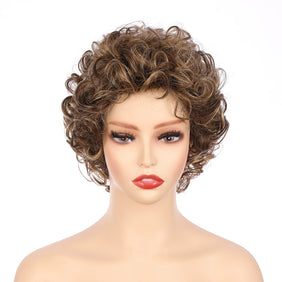 Dark Brwon (#R8/25) Synthetic Short Curly Wig