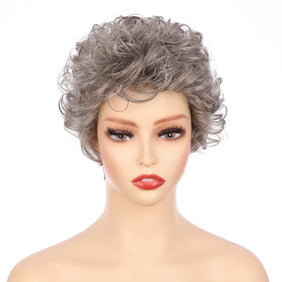 #58 Synthetic Short Curly Wig-G0653